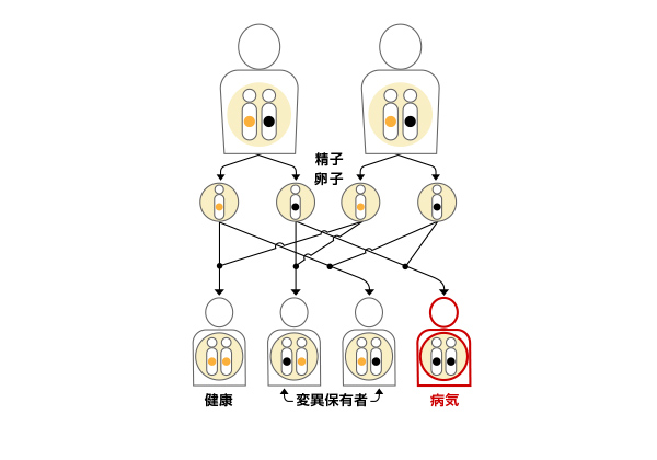 常染色体劣性遺伝形式